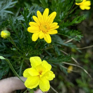 The Last Goodbye at a Train Station